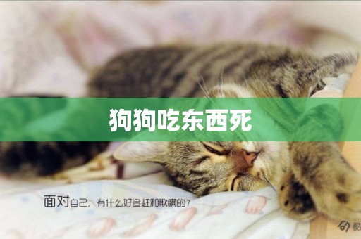 狗狗吃東西死