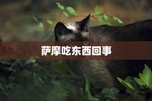 薩摩吃東西回事