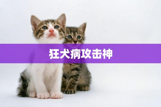 狂犬病攻擊神