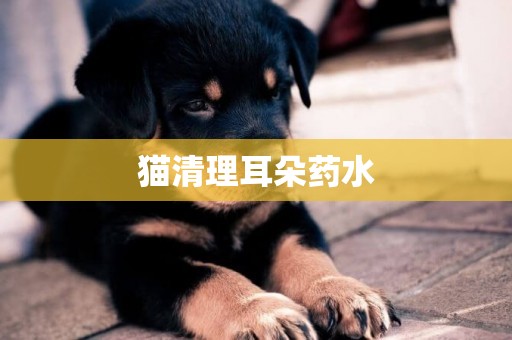 貓清理耳朵藥水