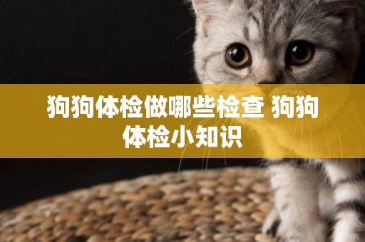 狗狗體檢做哪些檢查 狗狗體檢小知識