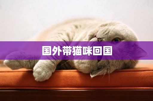 國外帶貓咪回國