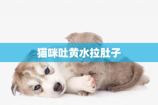 貓咪吐黃水拉肚子