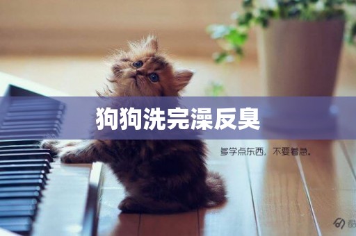 狗狗洗完澡反臭