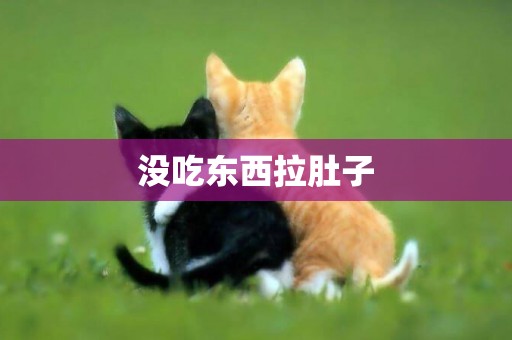 沒吃東西拉肚子