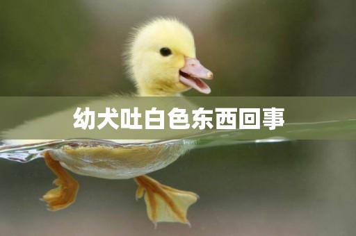 幼犬吐白色東西回事