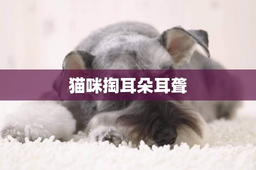 貓咪掏耳朵耳聾