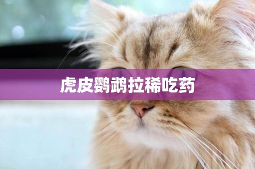 虎皮鸚鵡拉稀吃藥