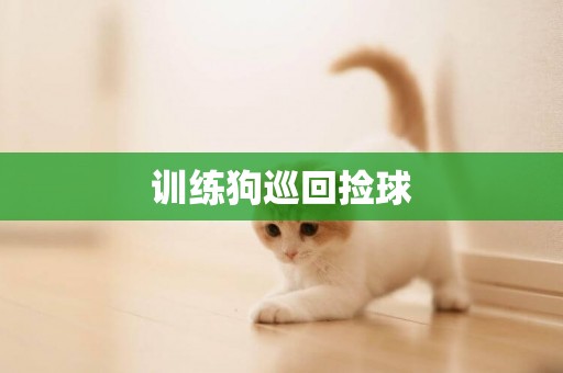 訓練狗巡回撿球