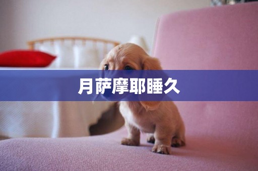 月薩摩耶睡久