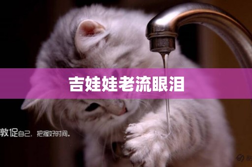 吉娃娃老流眼淚