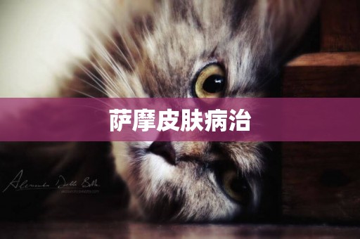 薩摩皮膚病治