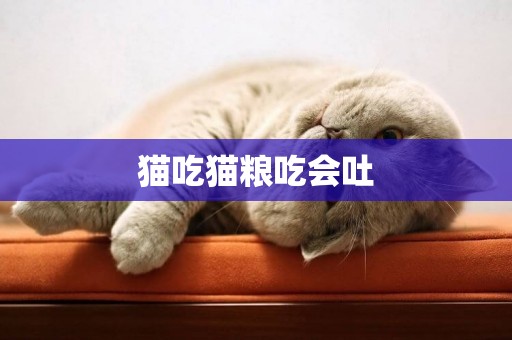 貓吃貓糧吃會吐