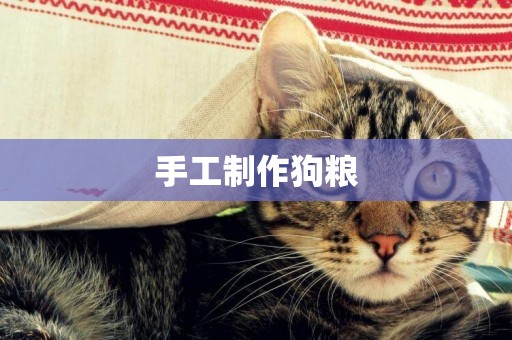 手工制作狗糧