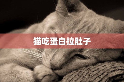 貓吃蛋白拉肚子