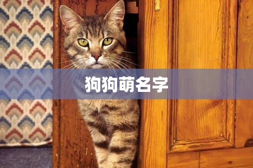 狗狗萌名字