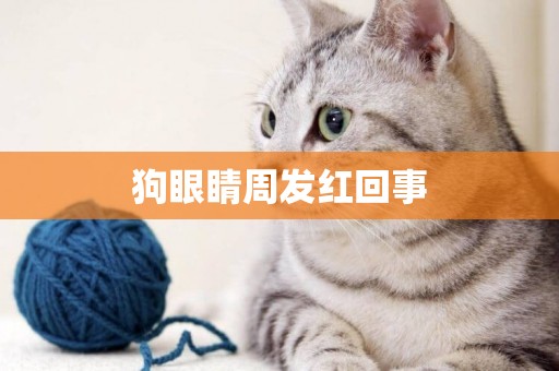 狗眼睛周發紅回事
