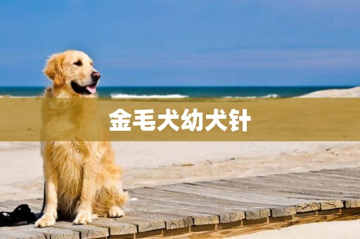 金毛犬幼犬針