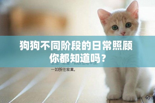 狗狗不同階段的日常照顧 你都知道嗎？