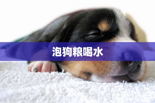 泡狗糧喝水