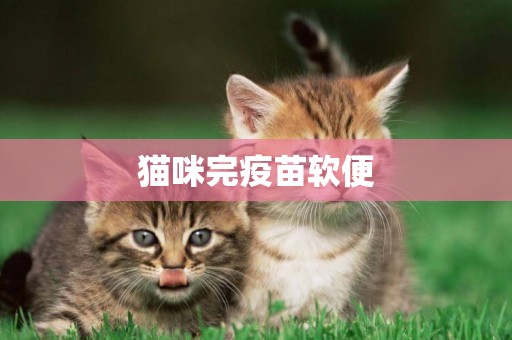 貓咪完疫苗軟便