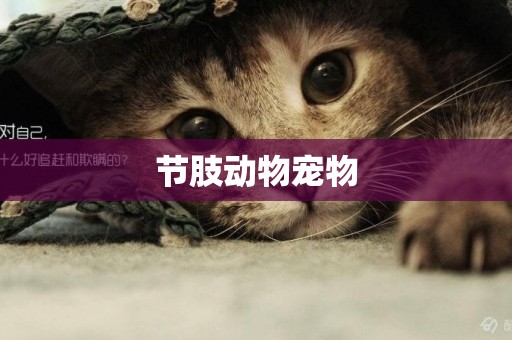 節肢動物寵物