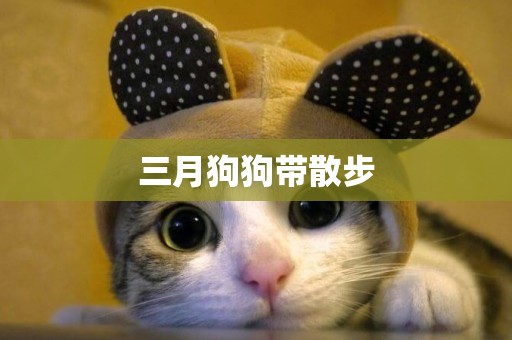 三月狗狗帶散步
