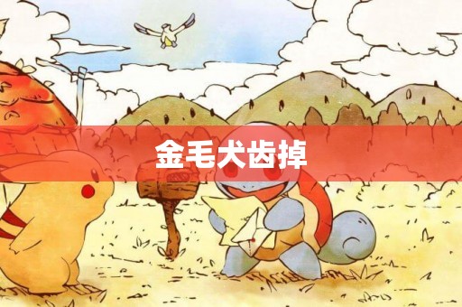 金毛犬齒掉