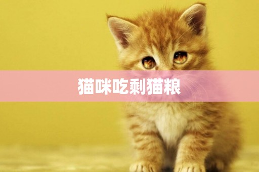 貓咪吃剩貓糧