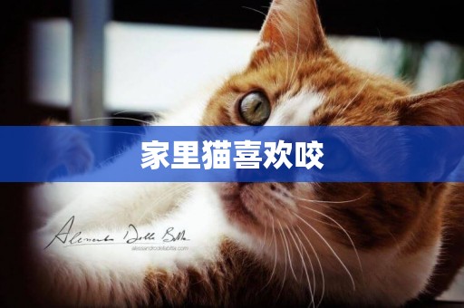 家里貓喜歡咬