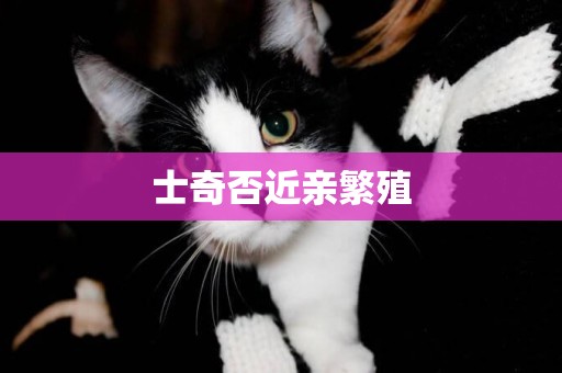 士奇否近親繁殖