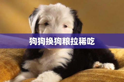 狗狗換狗糧拉稀吃