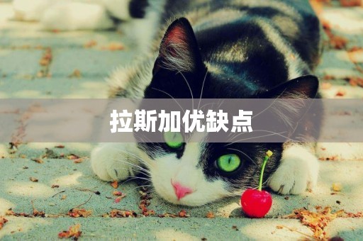 拉斯加優缺點