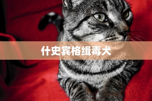 什史賓格緝毒犬