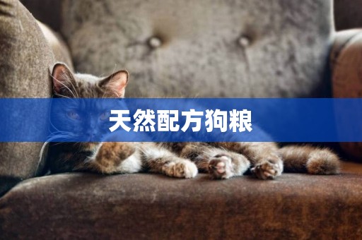 天然配方狗糧