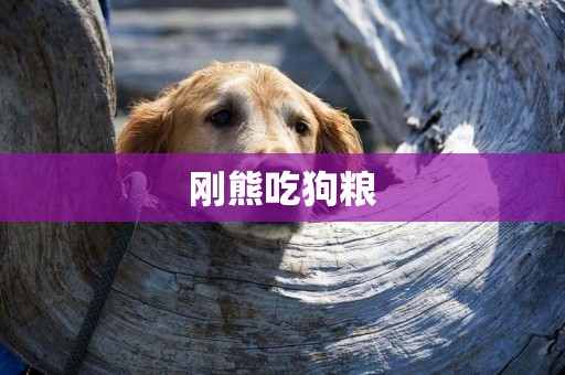剛熊吃狗糧