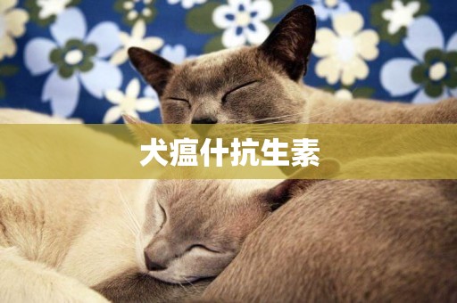犬瘟什抗生素