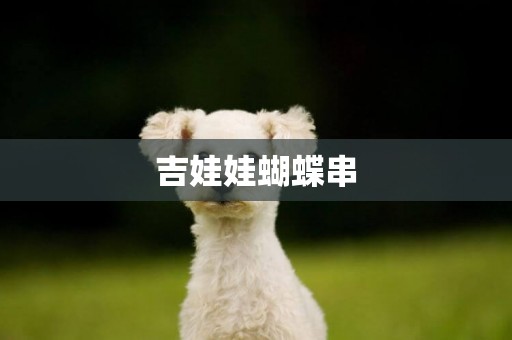 吉娃娃蝴蝶串