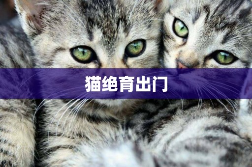 貓絕育出門
