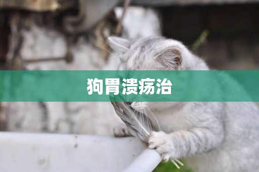 狗胃潰瘍治