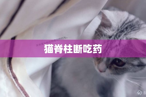 貓脊柱斷吃藥