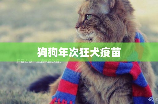 狗狗年次狂犬疫苗