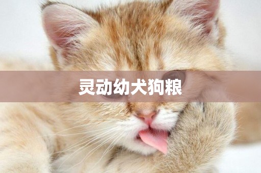 靈動幼犬狗糧