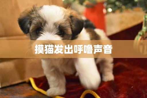 摸貓發出呼嚕聲音