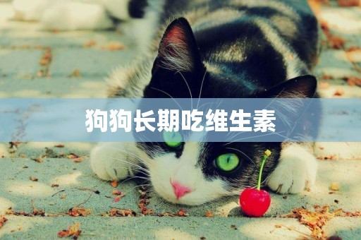 狗狗長期吃維生素
