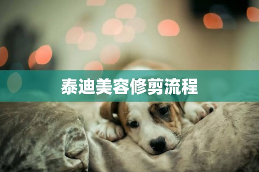 泰迪美容修剪流程