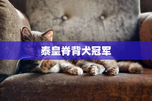 泰皇脊背犬冠軍