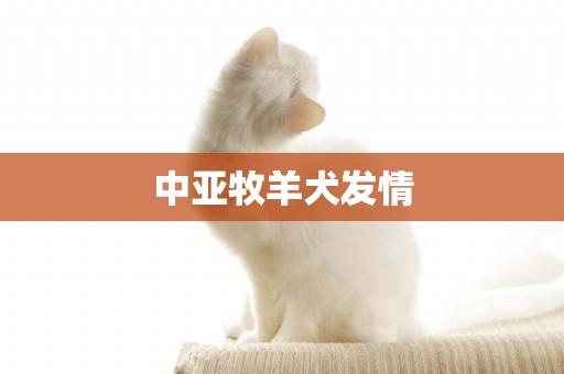 中亞牧羊犬發情