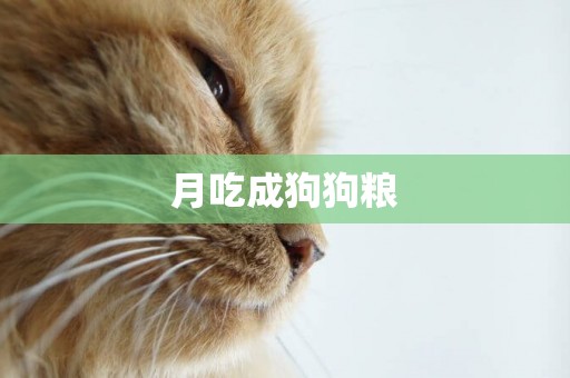 月吃成狗狗糧