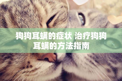 狗狗耳螨的癥狀 治療狗狗耳螨的方法指南